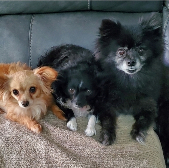 💥(2 for$50)💥 1999 Randy Queen's Ariel From Darkchylde Sculpted Clayburn Moore - Picture 8 of 9